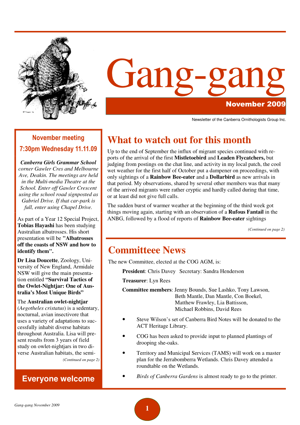 Gang-Gang November 2009