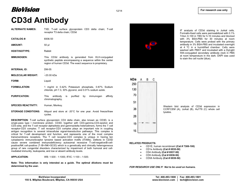 Cd3d Antibody
