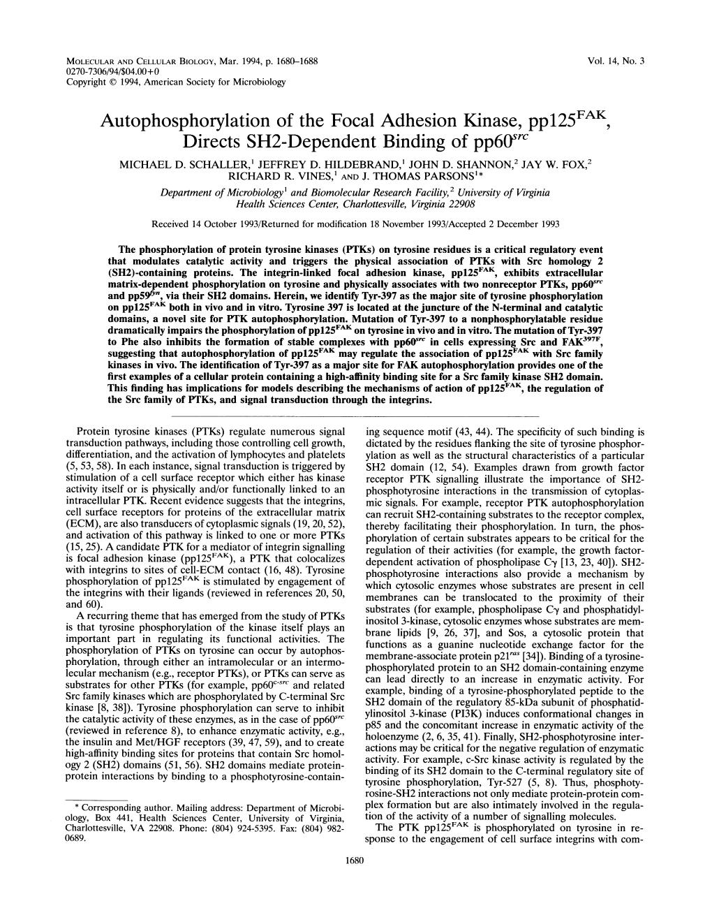 Autophosphorylation of the Focal Adhesion Kinase, Pp125fak Directs SH2-Dependent Binding of Pp60src MICHAEL D