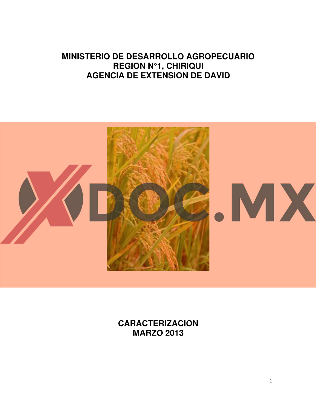 Ministerio De Desarrollo Agropecuario Region N°1, Chiriqui Agencia De Extension De David