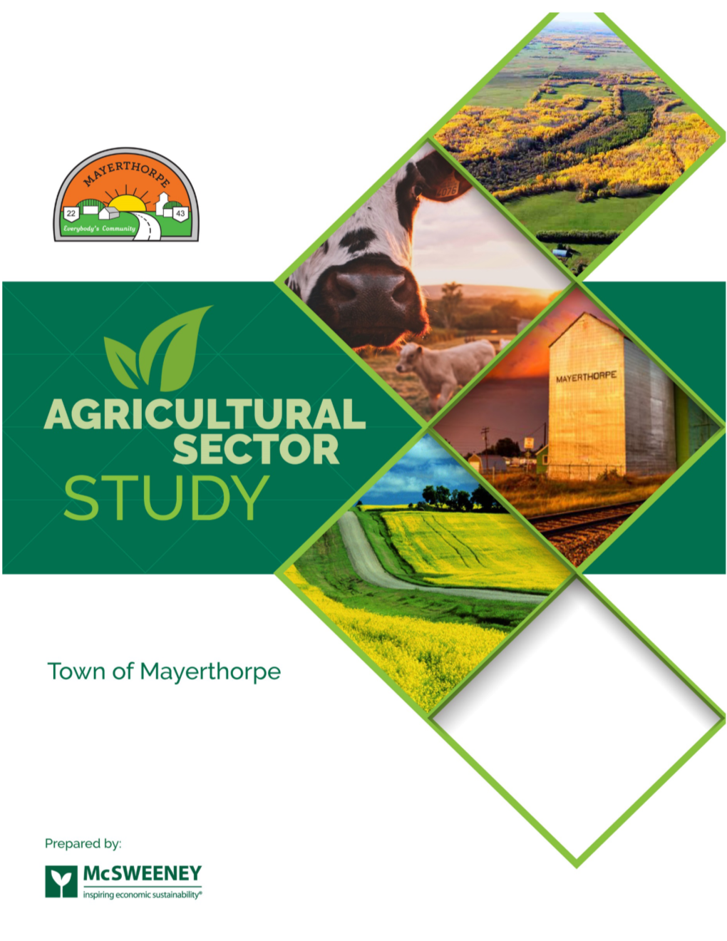 Agricultural Sector Study, Town of Mayerthorpe AB