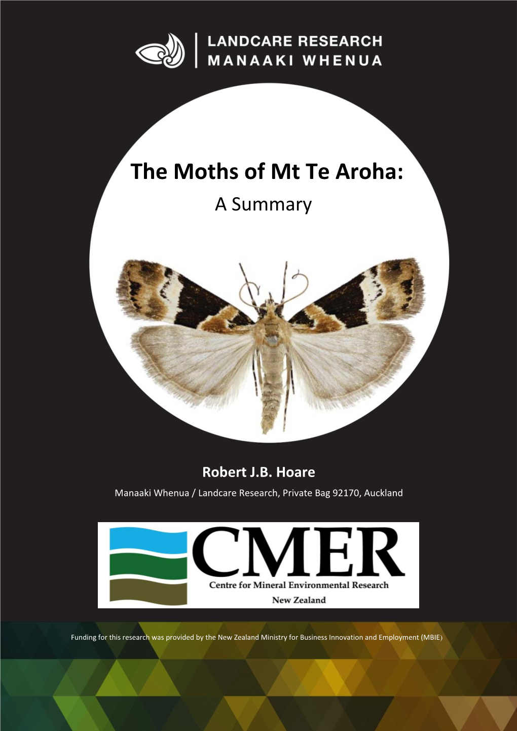 The Moths of Mt Te Aroha: a Summary