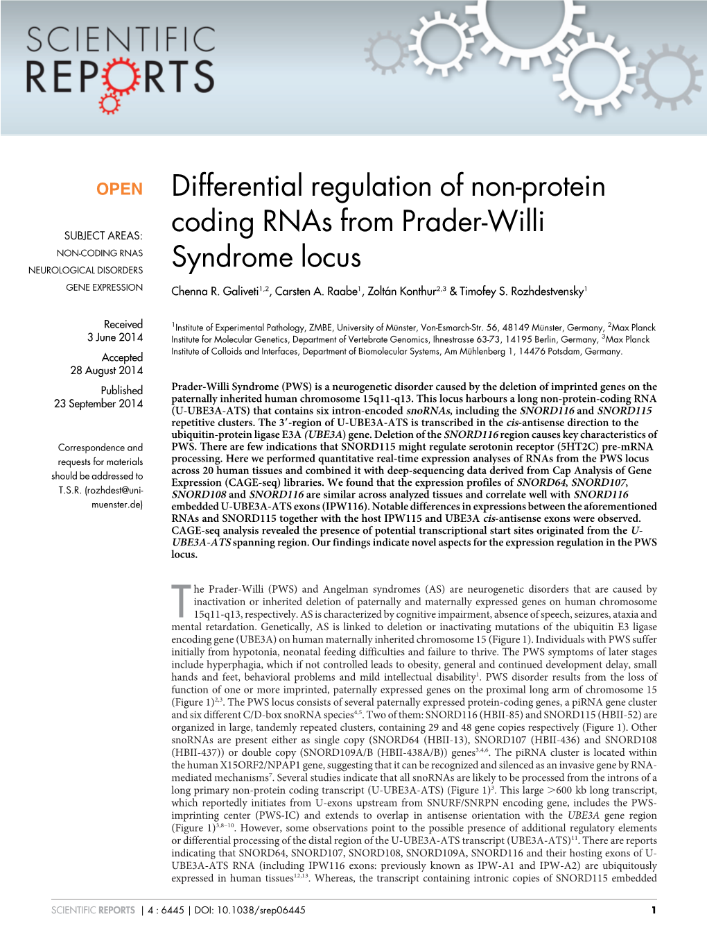 Differential Regulation of Non-Protein Coding Rnas from Prader-Willi Syndrome Locus