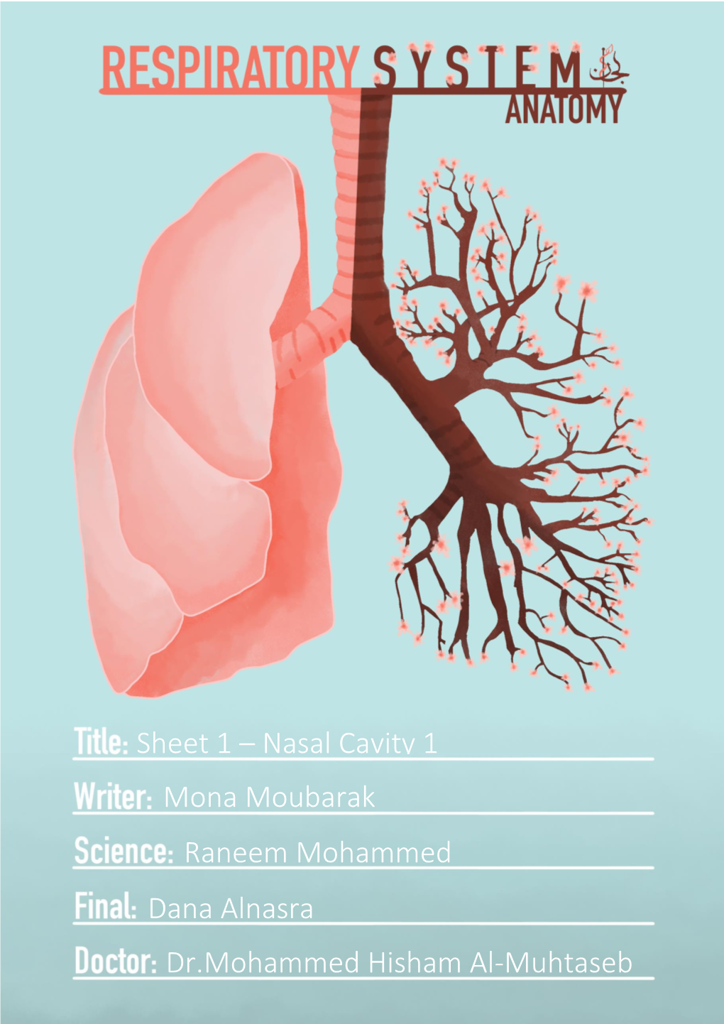 Nasal Cavity 1