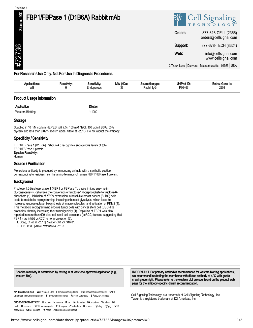 72736 FBP1/Fbpase 1 (D1B6A) Rabbit Mab