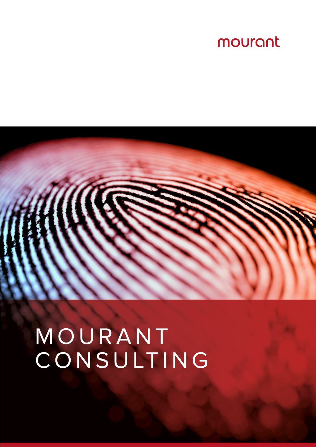 MOURANT CONSULTING Global Specialist Consulting
