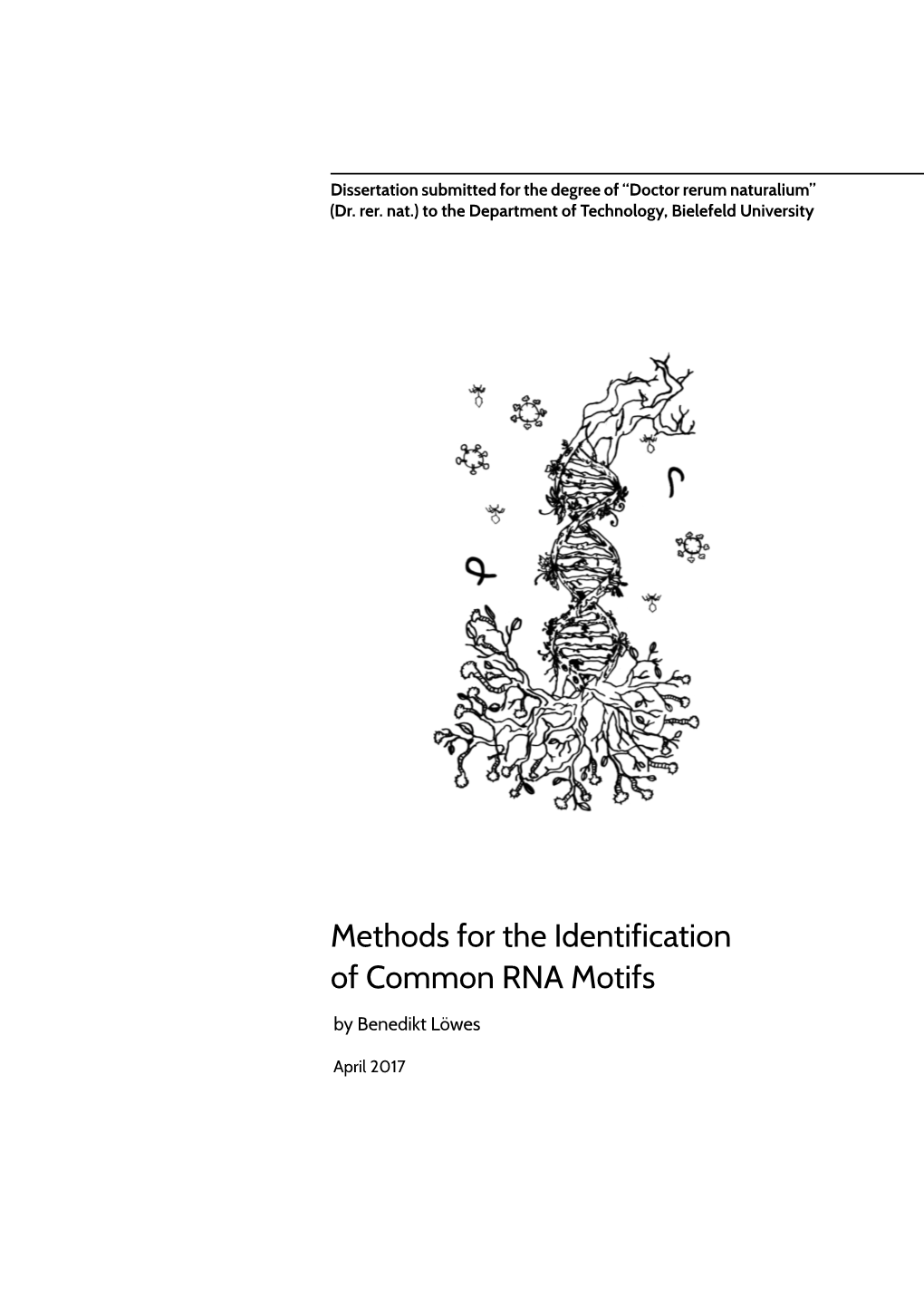 Methods for the Identification of Common RNA Motifs by Benedikt Löwes