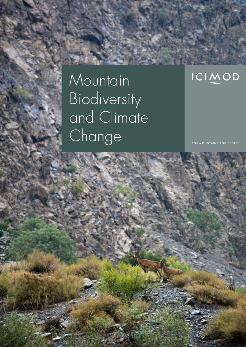 Mountain Biodiversity and Climate Change