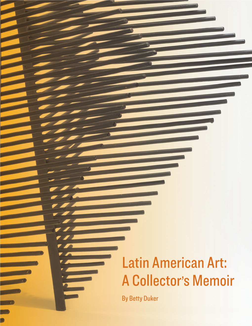 A Collector's Memoir Latin American Art