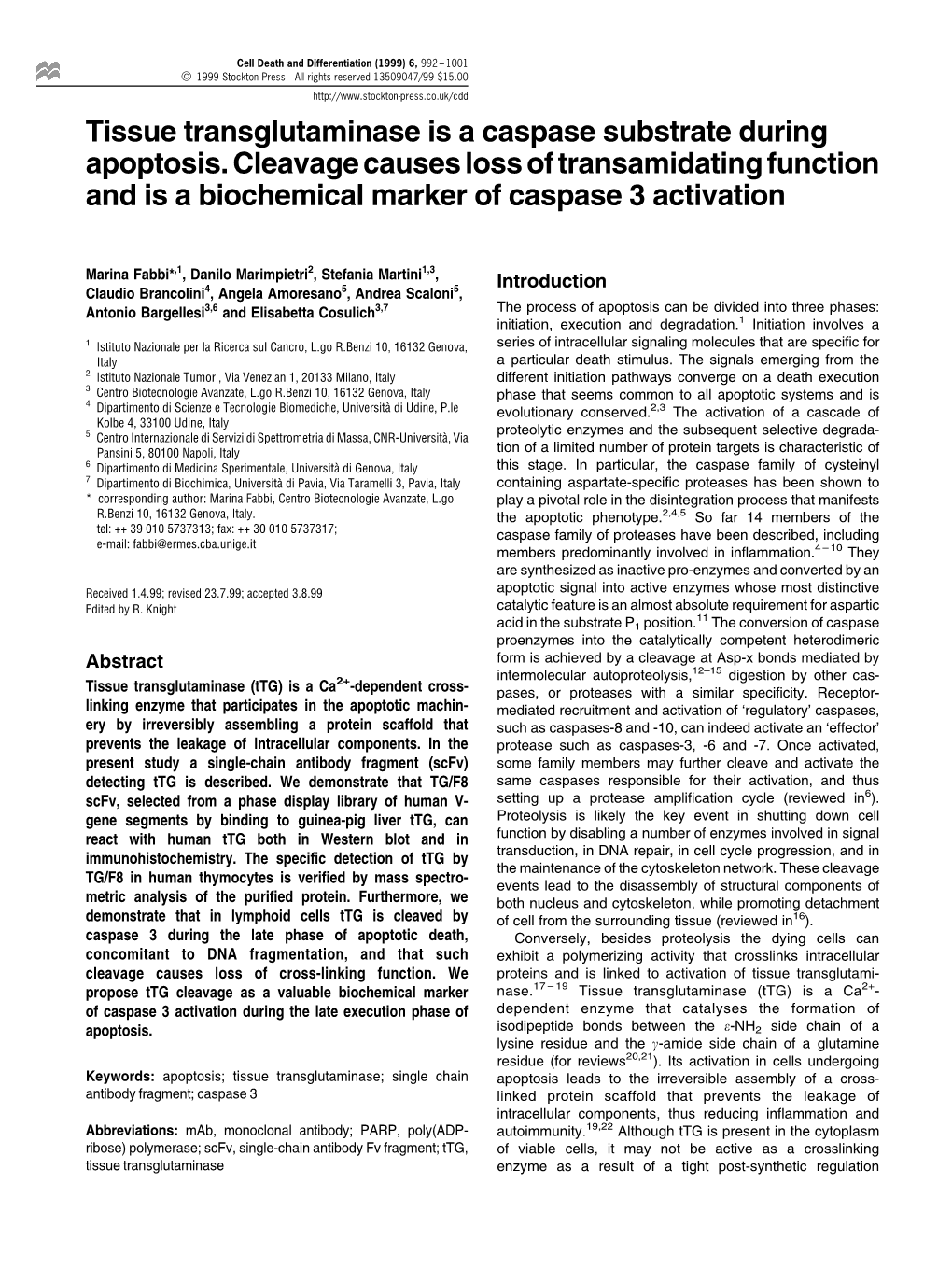 Tissue Transglutaminase Is a Caspase Substrate During Apoptosis. Cleavage Causes Loss of Transamidating Function and Is a Biochemical Marker of Caspase 3 Activation