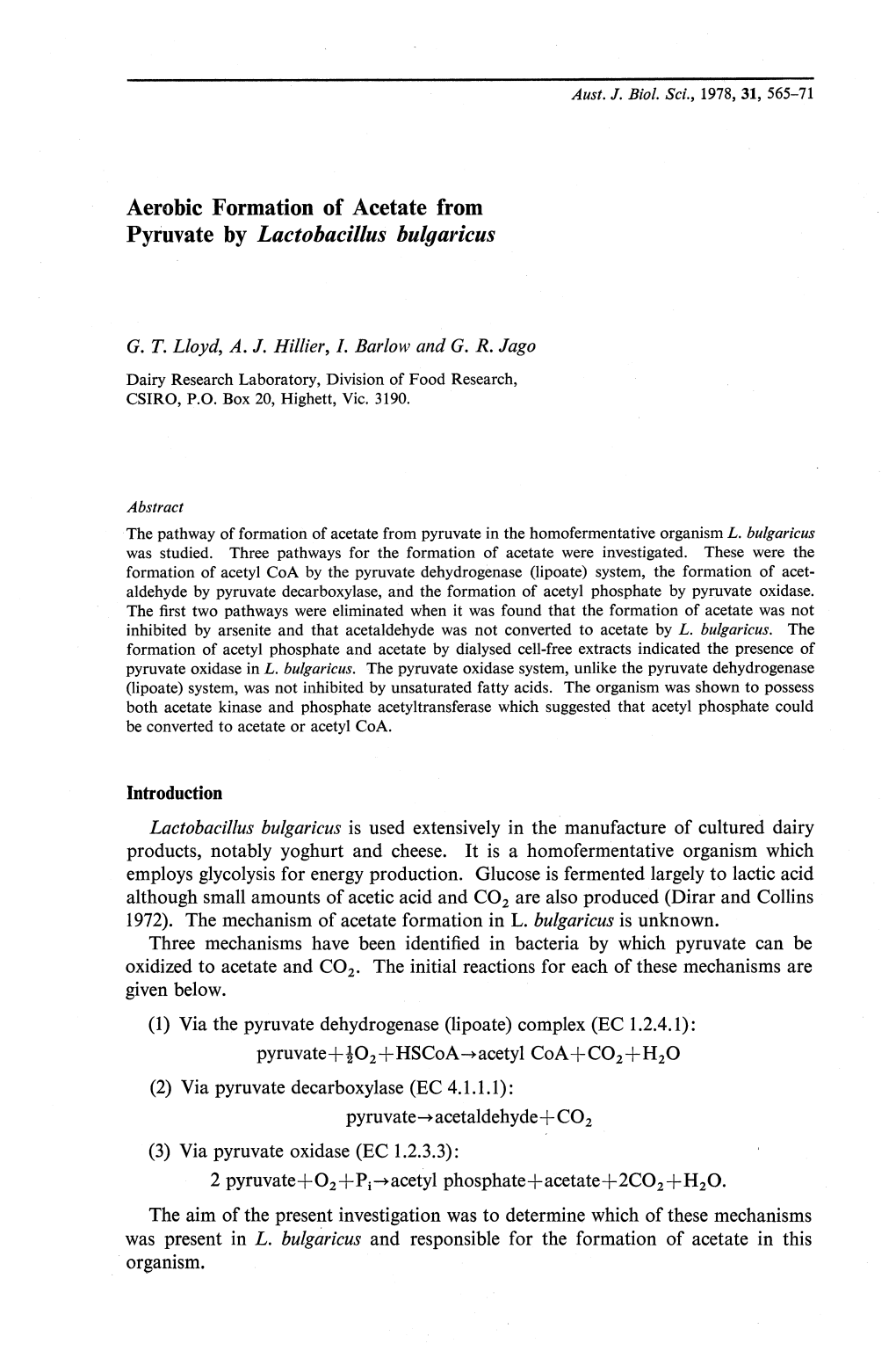 Aerobic Formation of Acetate from Pyruvate by Lactobacillus Bulqaricus