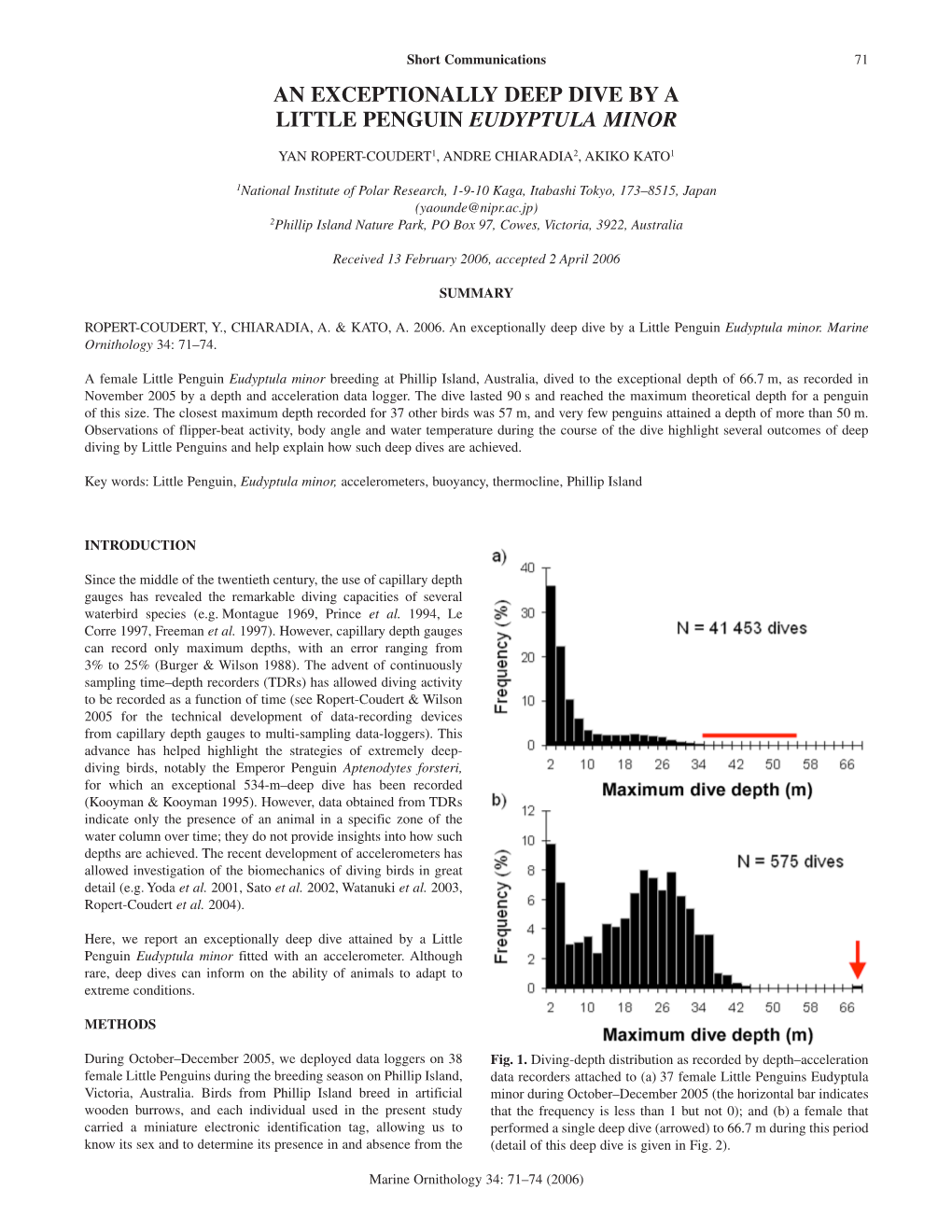 An Exceptionally Deep Dive by a Little Penguin Eudyptula Minor