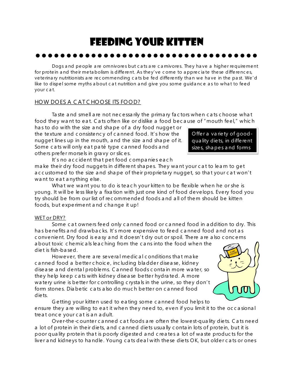 How to Feed a Kitten 2021.Pdf