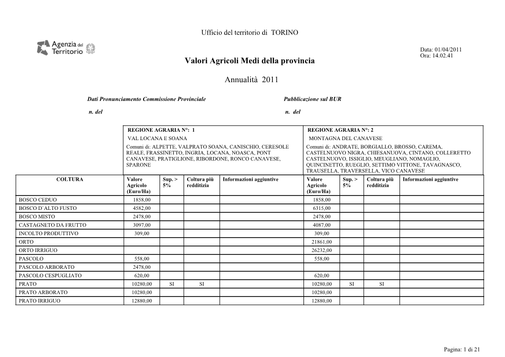 Curriculum Vitae