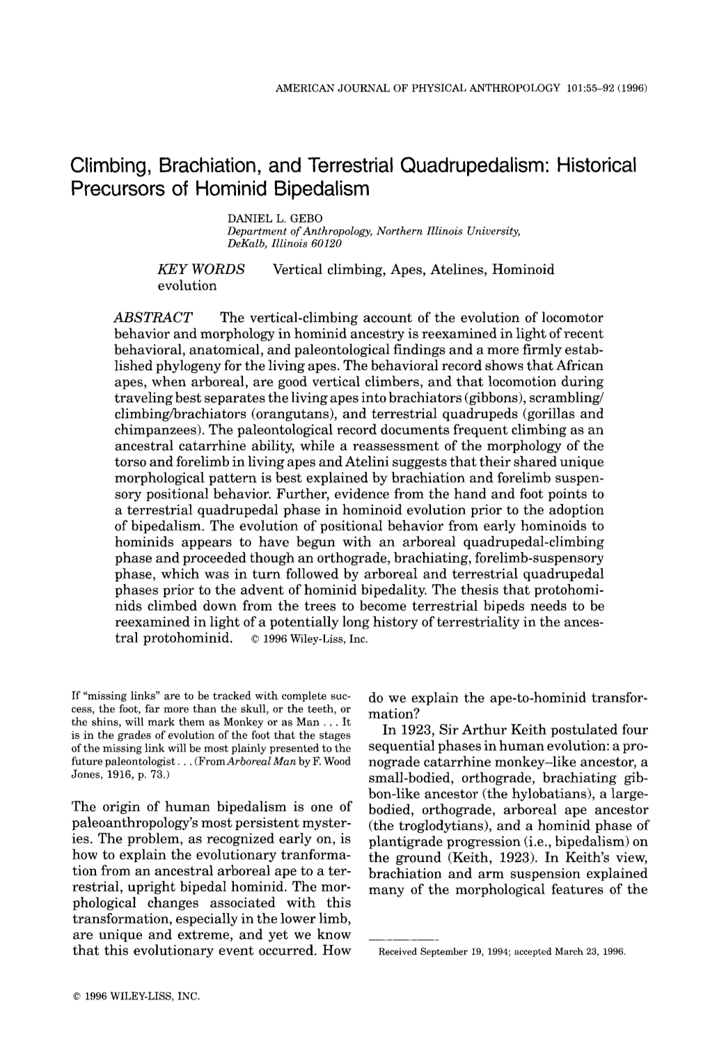 Climbing, Brachiation, and Terrestrial Quadrupedalism: Historical Precursors of Hominid Bipedalism