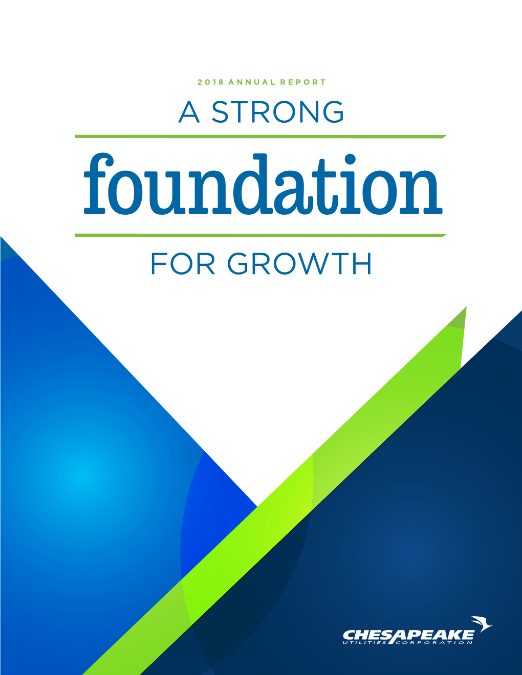 2018 ANNUAL REPORT a STRONG Foundation for GROWTH Foundation Noun Foun•Da•Tion