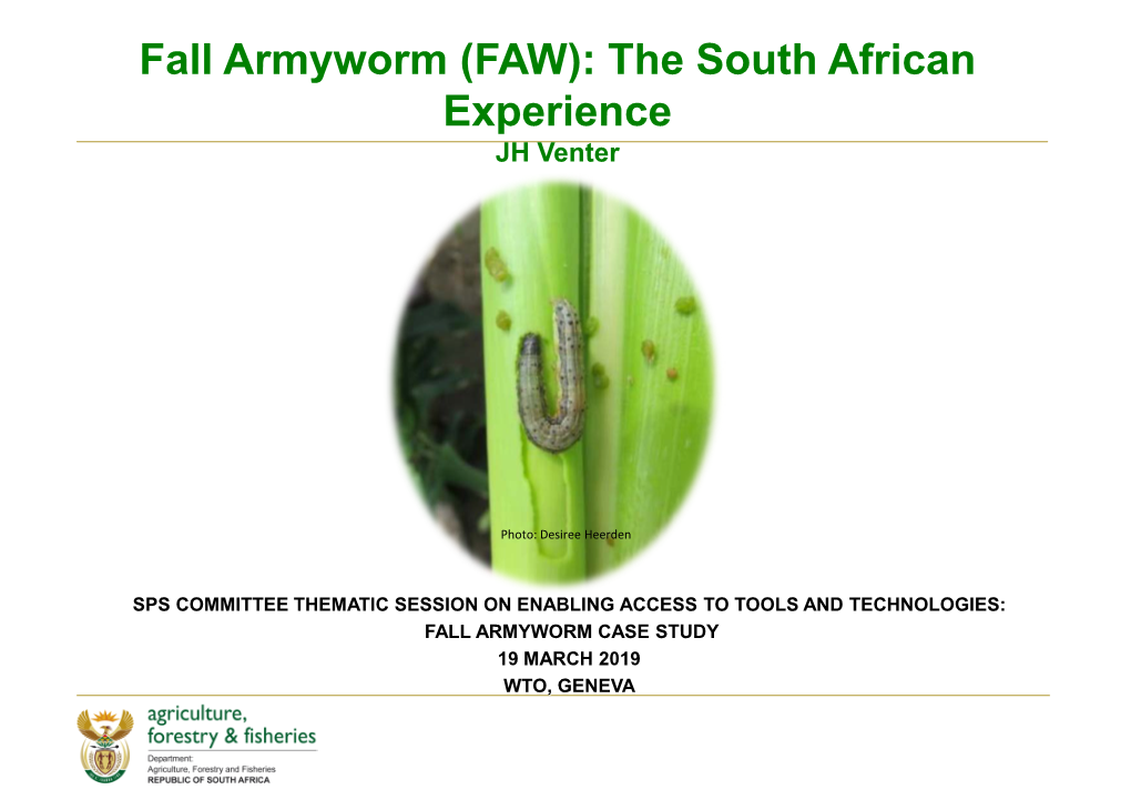 Fall Armyworm (FAW): the South African Experience JH Venter