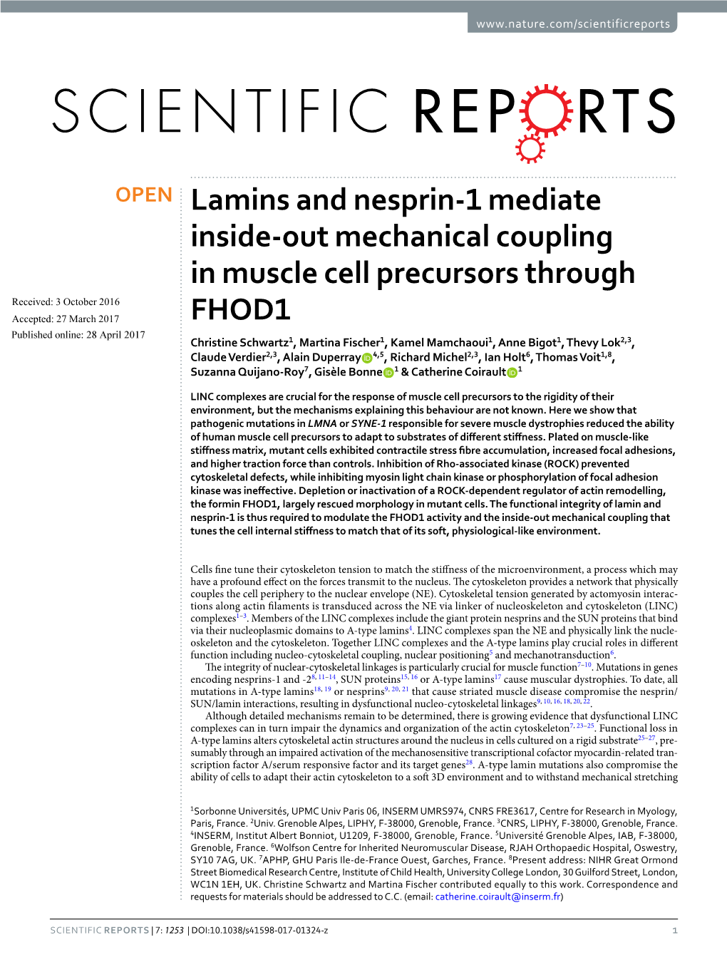 Lamins and Nesprin-1 Mediate Inside-Out Mechanical Coupling In