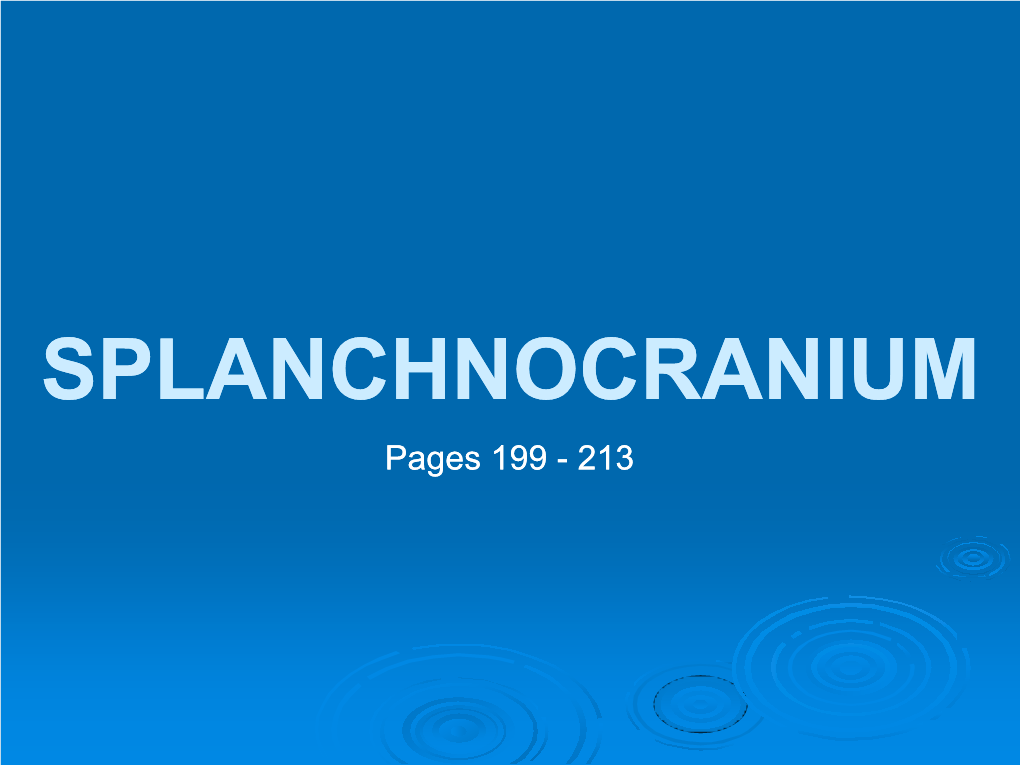 SPLANCHNOCRANIUM Pages 199 - 213 Splanchnocranium = Viscerocranium = Bone of the Face Maxilla