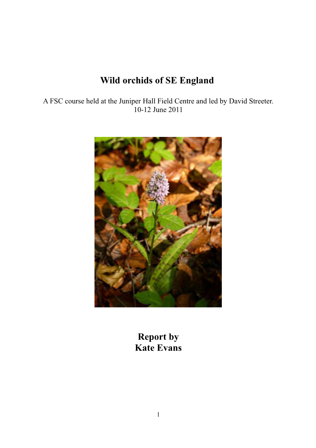 Wild Orchids of SE England Report by Kate Evans