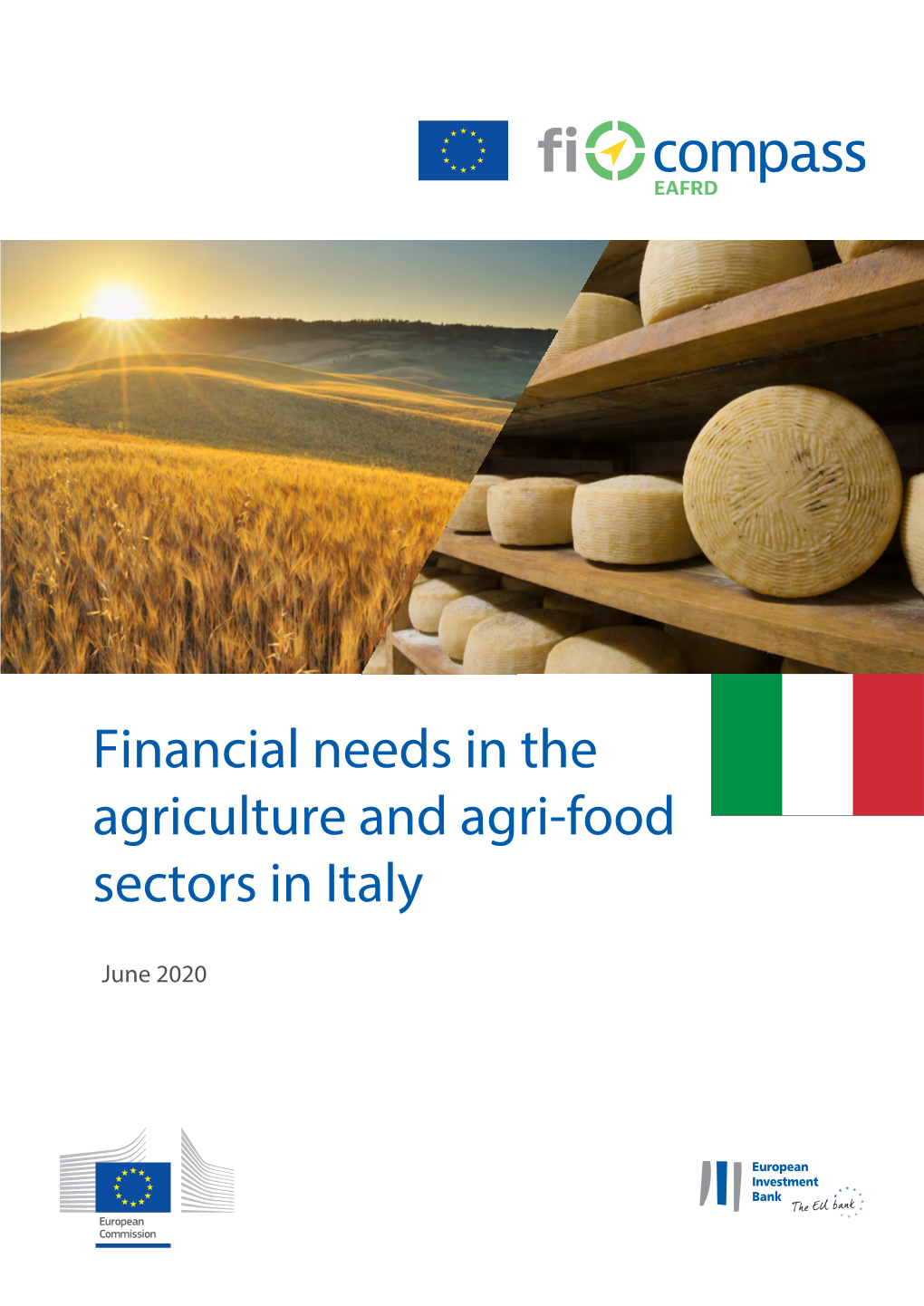 Financial Needs in the Agriculture and Agri-Food Sectors in Italy