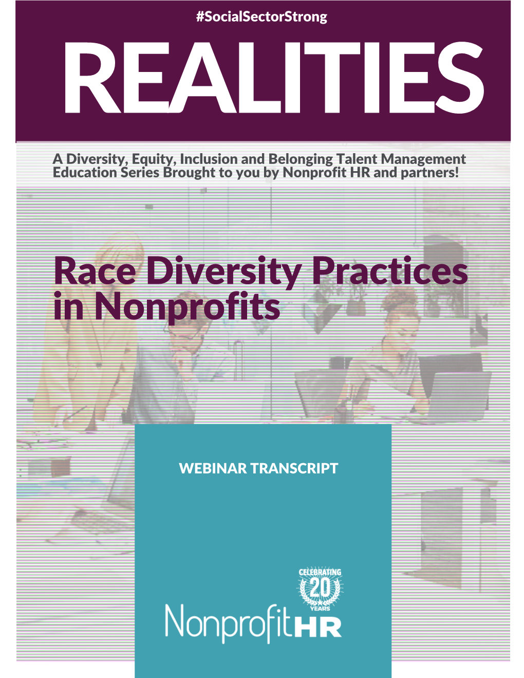 Race Diversity Practices in Nonprofits