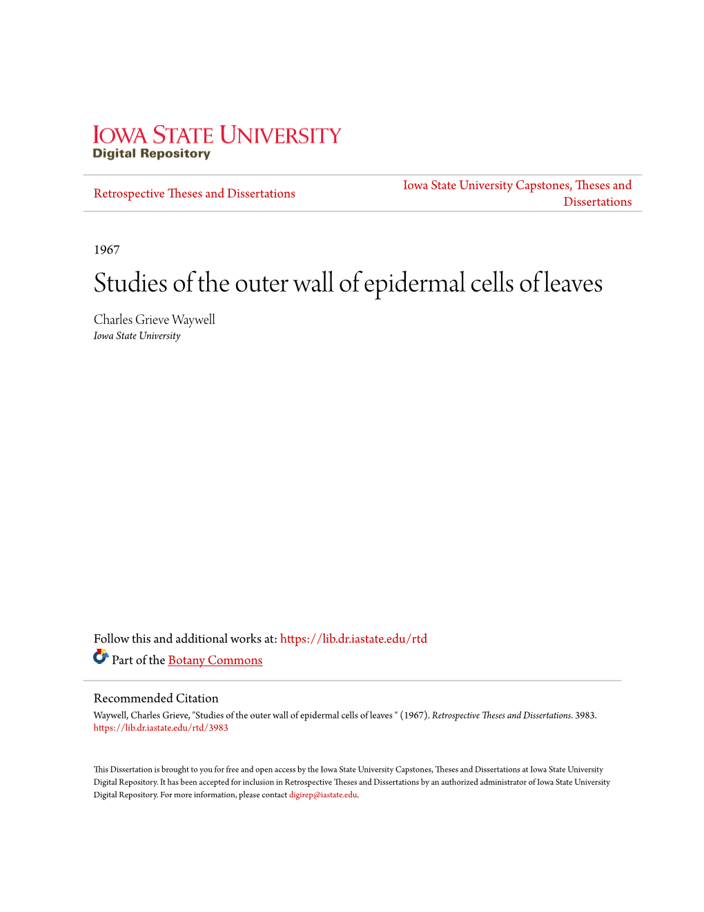 Studies of the Outer Wall of Epidermal Cells of Leaves Charles Grieve Waywell Iowa State University