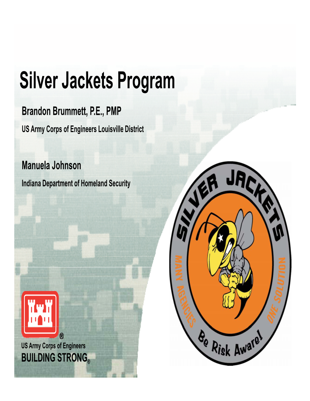 Silver Jackets Program