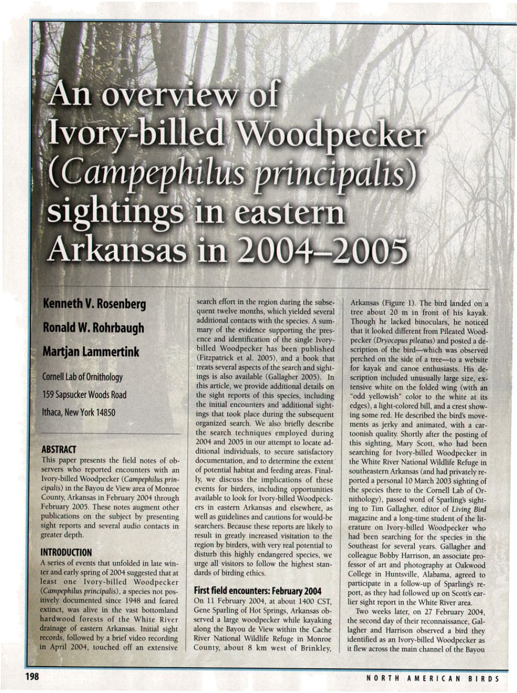 An Overview of Ivory-Billed Woodpecker