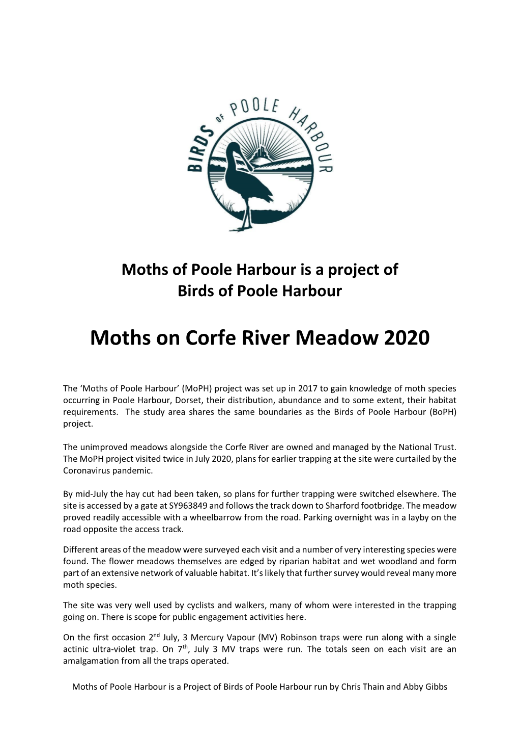 Moths on Corfe River Meadow 2020