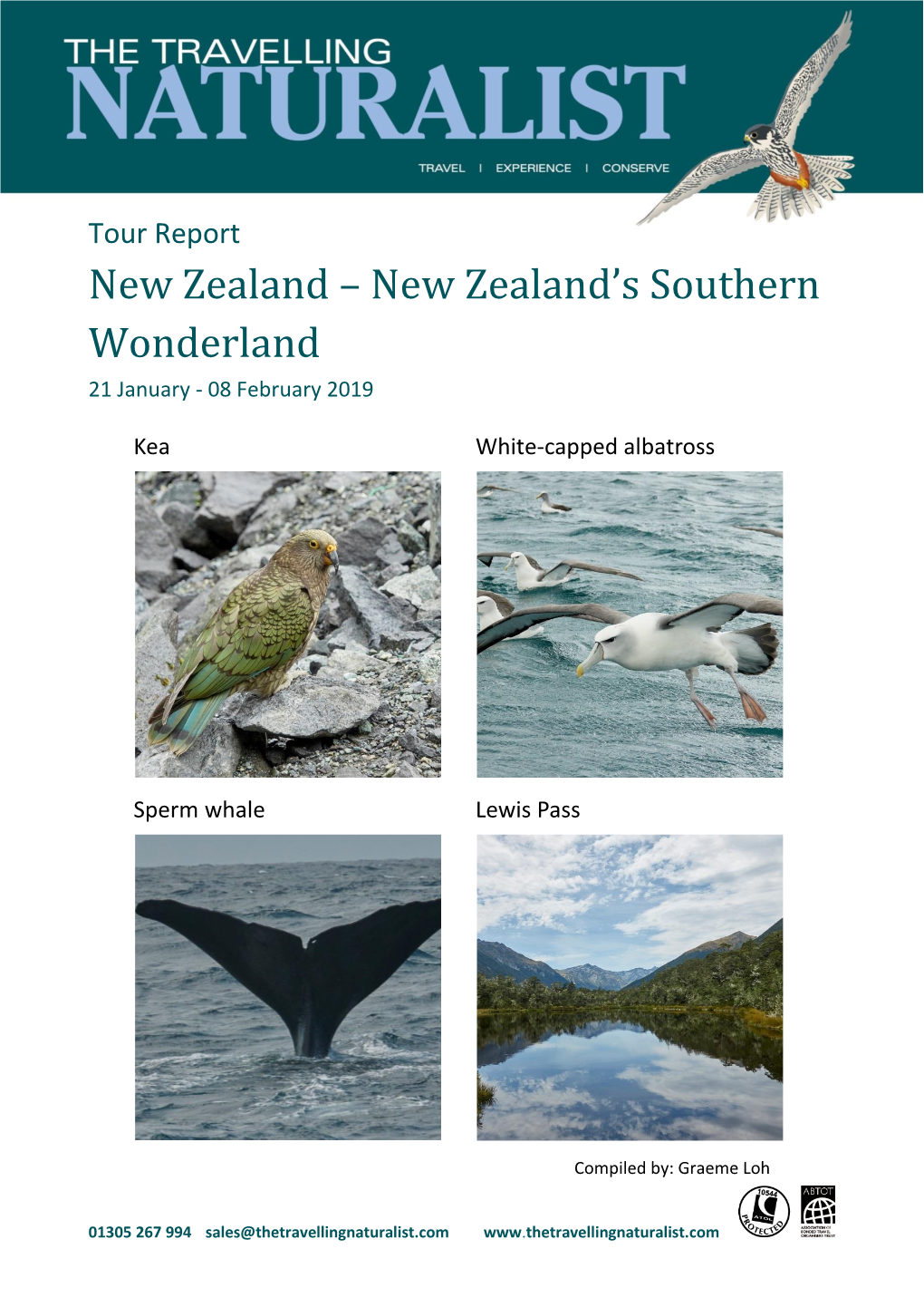 New Zealand's Southern Wonderland