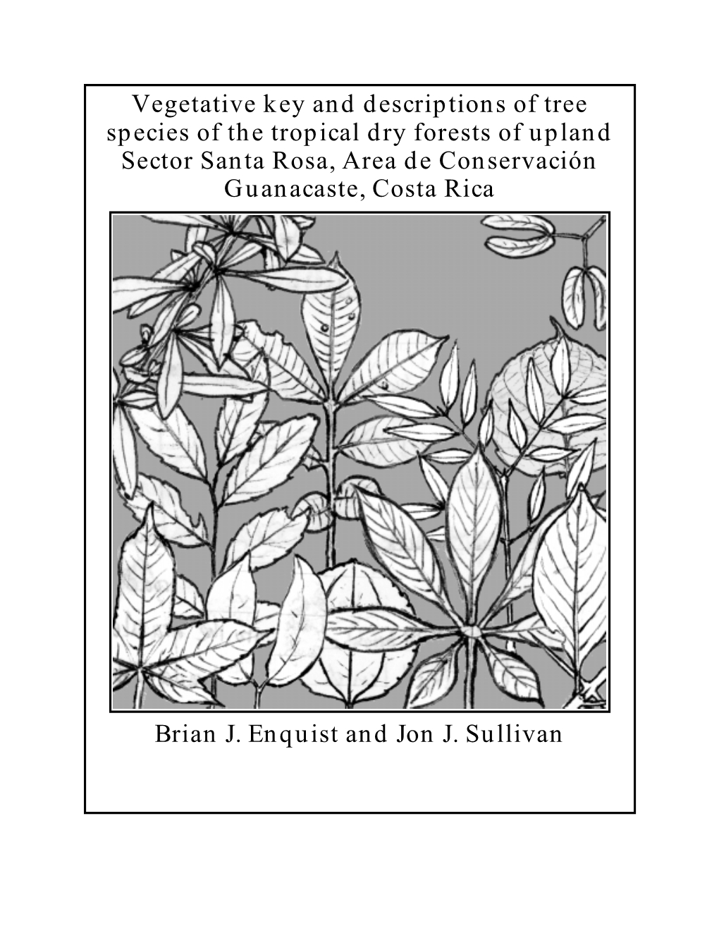 Vegetative Key and Descriptions of Tree Species of the Tropical Dry Forests of Upland Sector Santa Rosa, Area De Conservación Guanacaste, Costa Rica