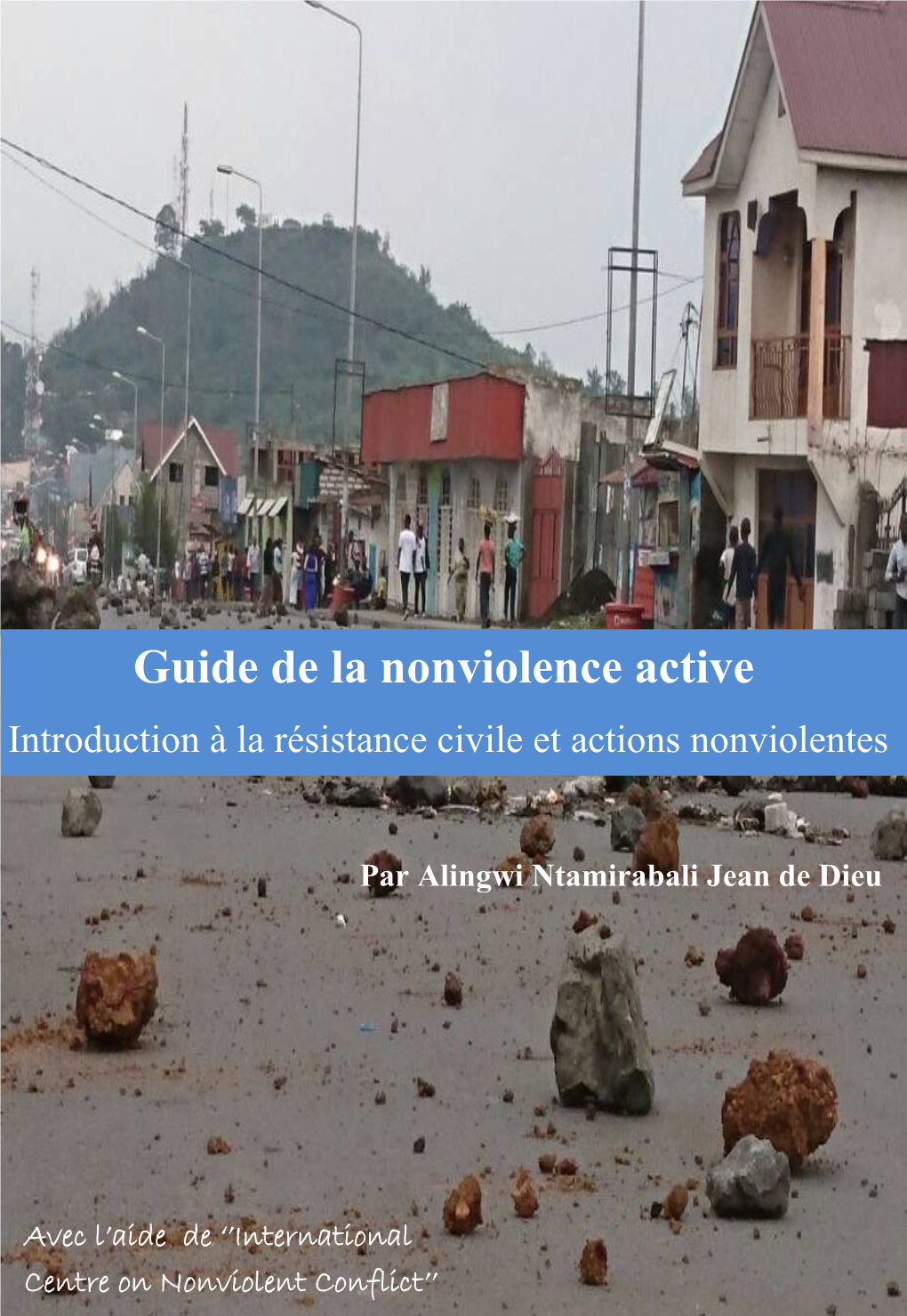 Guide De La Nonviolence Active Introduction À La Résistance Civile Et Actions Nonviolentes