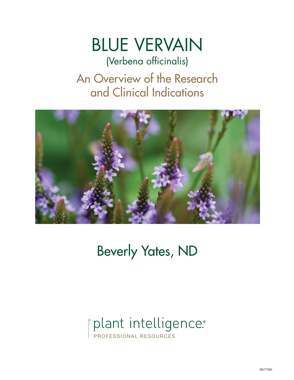 Blue Vervain (Verbena Officinalis) an Overview of the Research and Clinical Indications