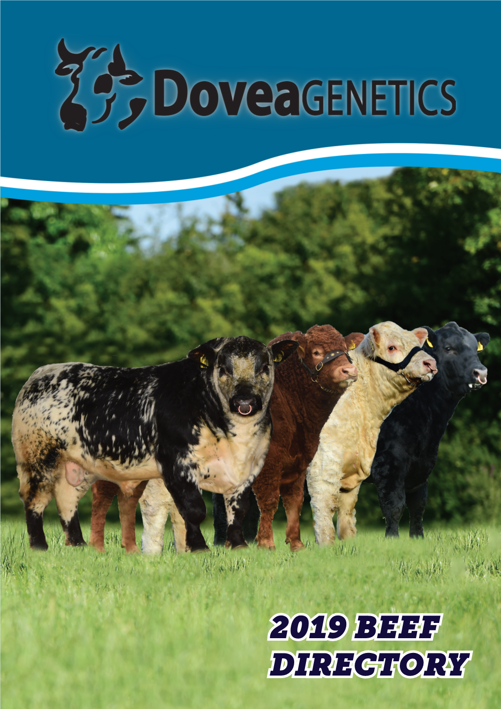 2019 BEEF DIRECTORY INTRODUCTION Welcome to the Dovea Genetics 2019 Beef Directory