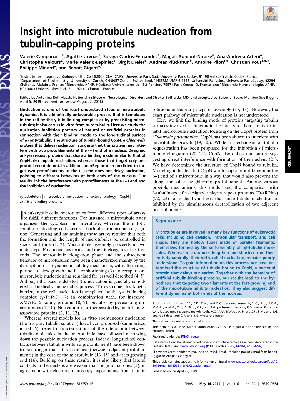 Insight Into Microtubule Nucleation from Tubulin-Capping Proteins