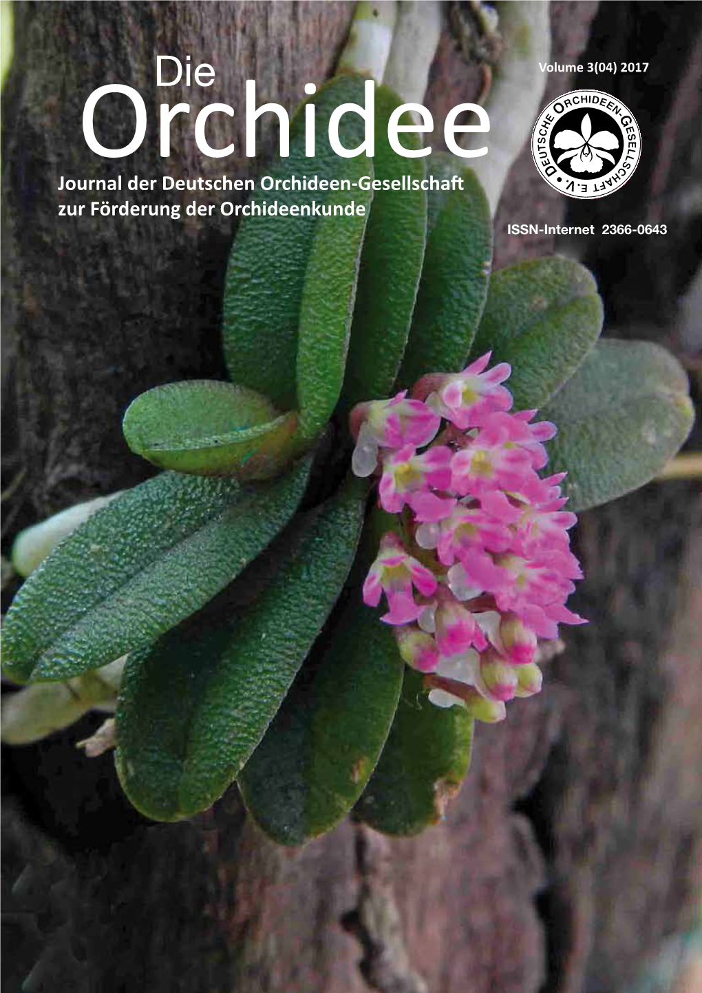 Journal Der Deutschen Orchideen-Gesellschaft Zur Förderung Der Orchideenkunde ISSN-Internet 2366-0643 22 Schoenorchis Phitamii Die Orchidee 3(04), 2017/E-Paper