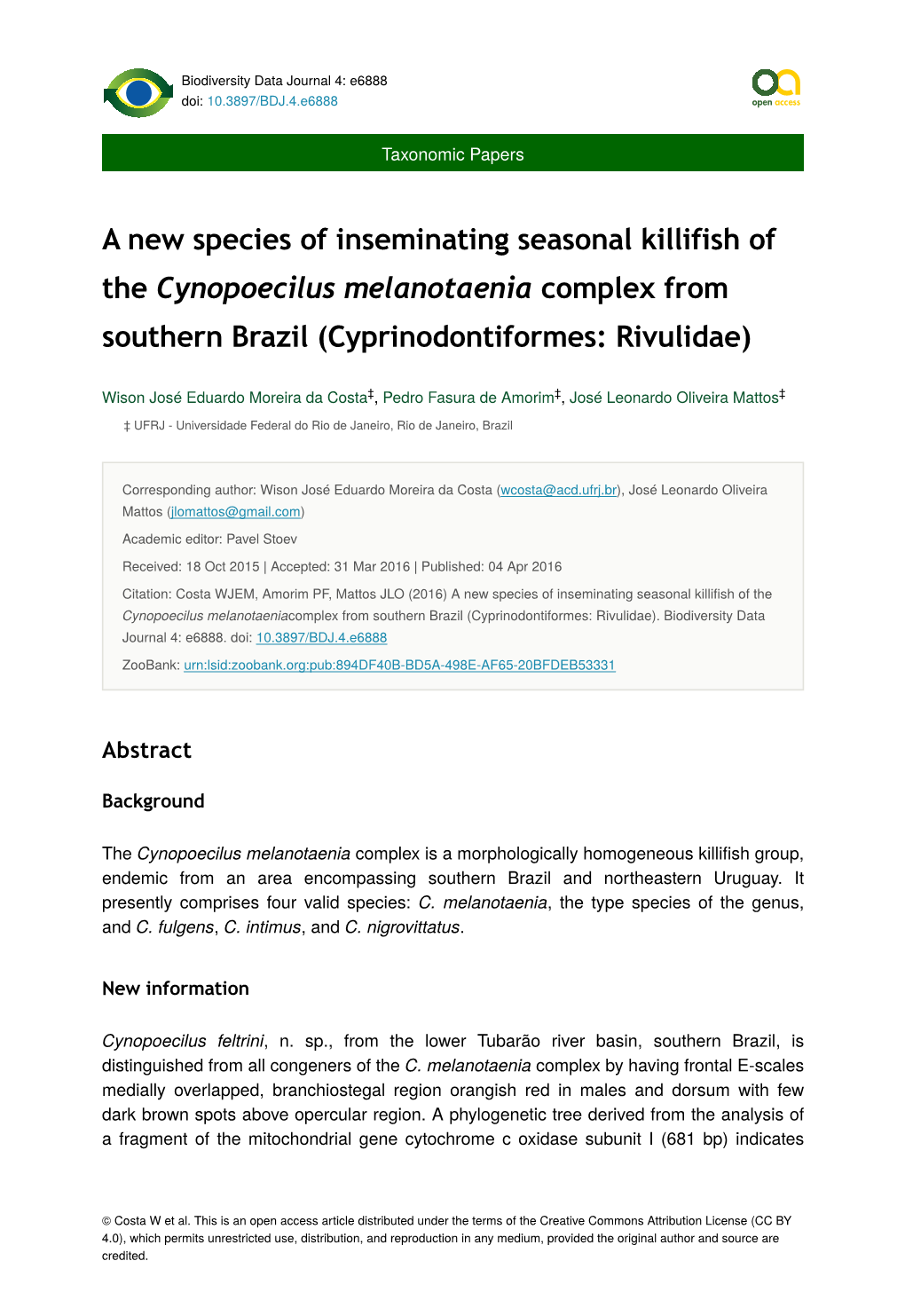 A New Species of Inseminating Seasonal Killifish of the Cynopoecilus Melanotaenia Complex from Southern Brazil (Cyprinodontiformes: Rivulidae)