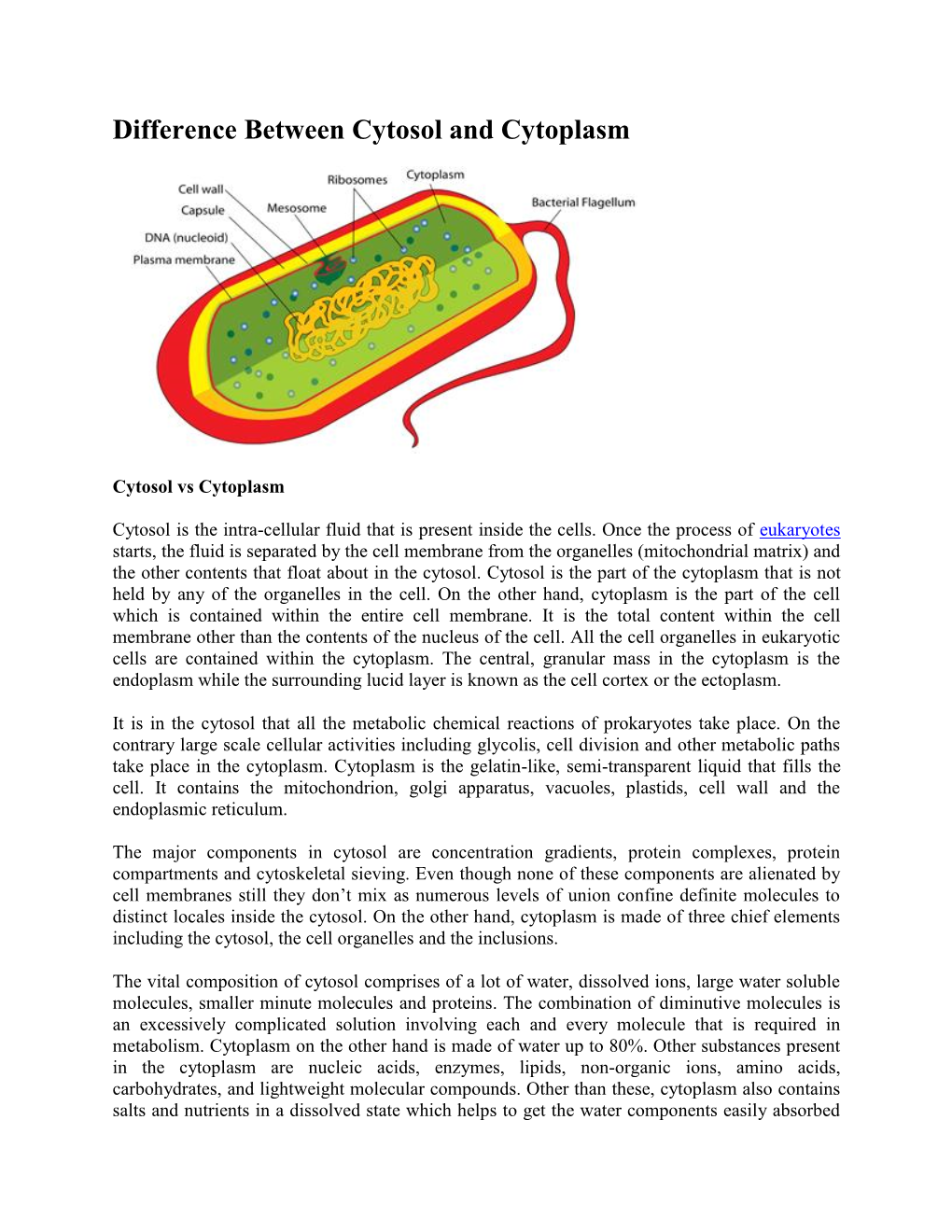 Difference Between Cytosol and Cytoplasm