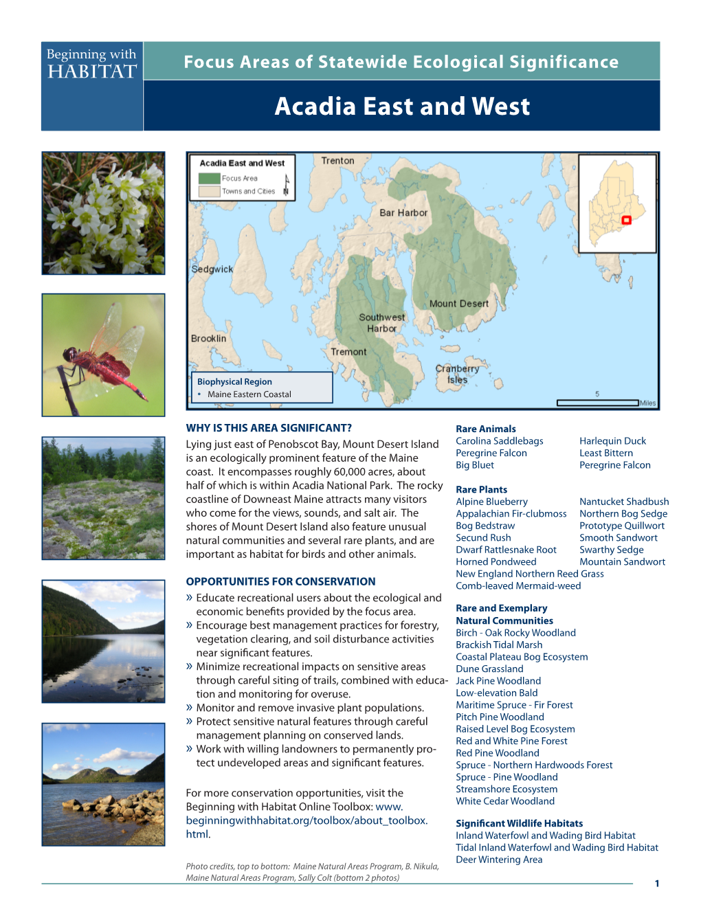 Acadia East and West Beginning with Focus Areas of Statewide Ecological Significance Habitat Acadia East and West