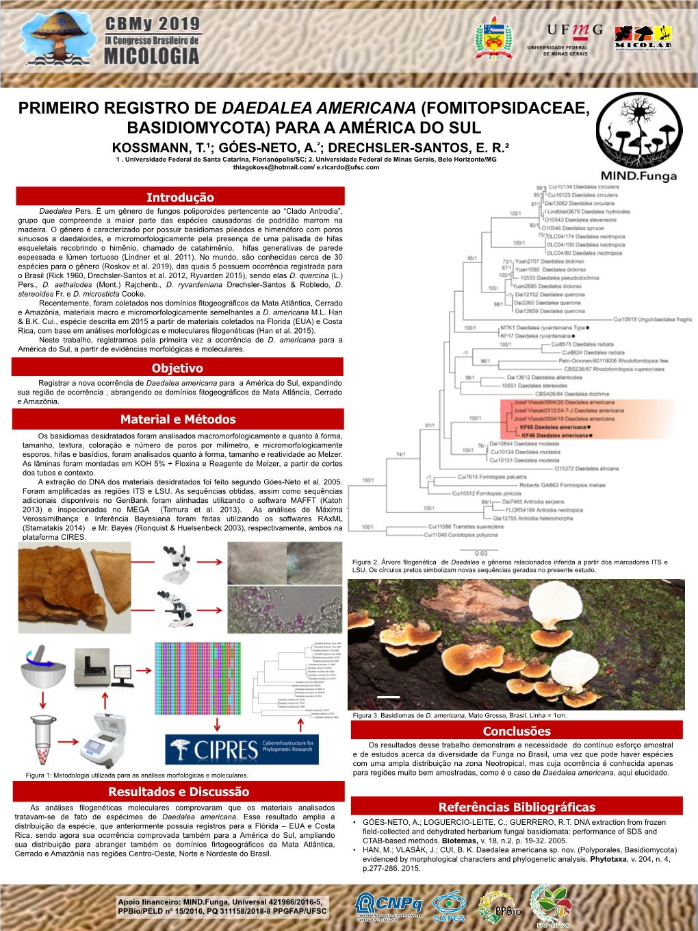 Primeiro Registro De Daedalea Americana (Fomitopsidaceae, Basidiomycota) Para a América Do Sul ² Kossmann, T.¹; Góes-Neto, A