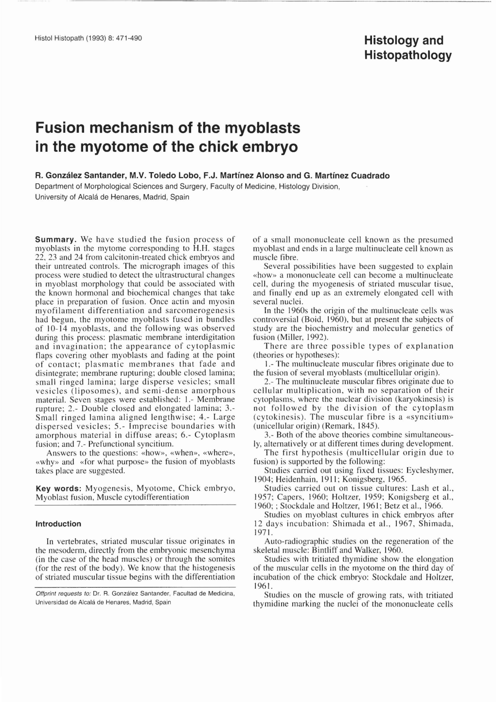 Fusion Mechanism of the Myoblasts in the Myotome of the Chick Embryo