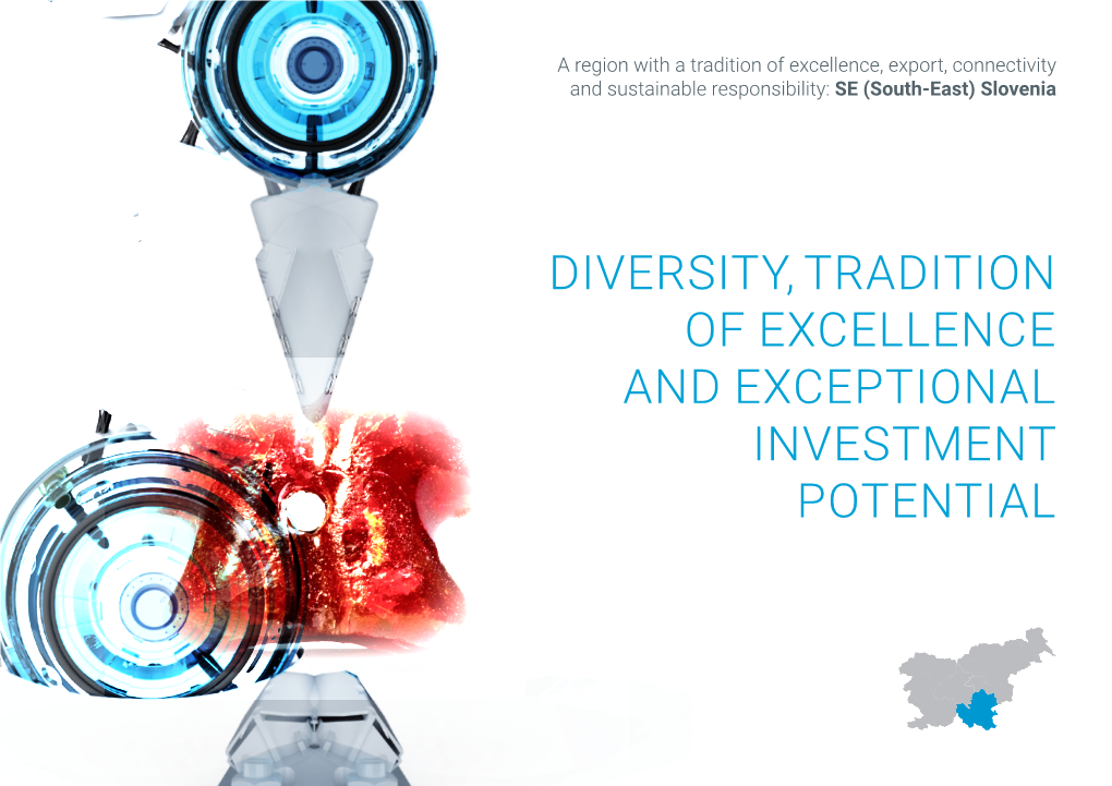 Diversity, Tradition of Excellence and Exceptional Investment Potential a Thousand Years of Advanced Technology