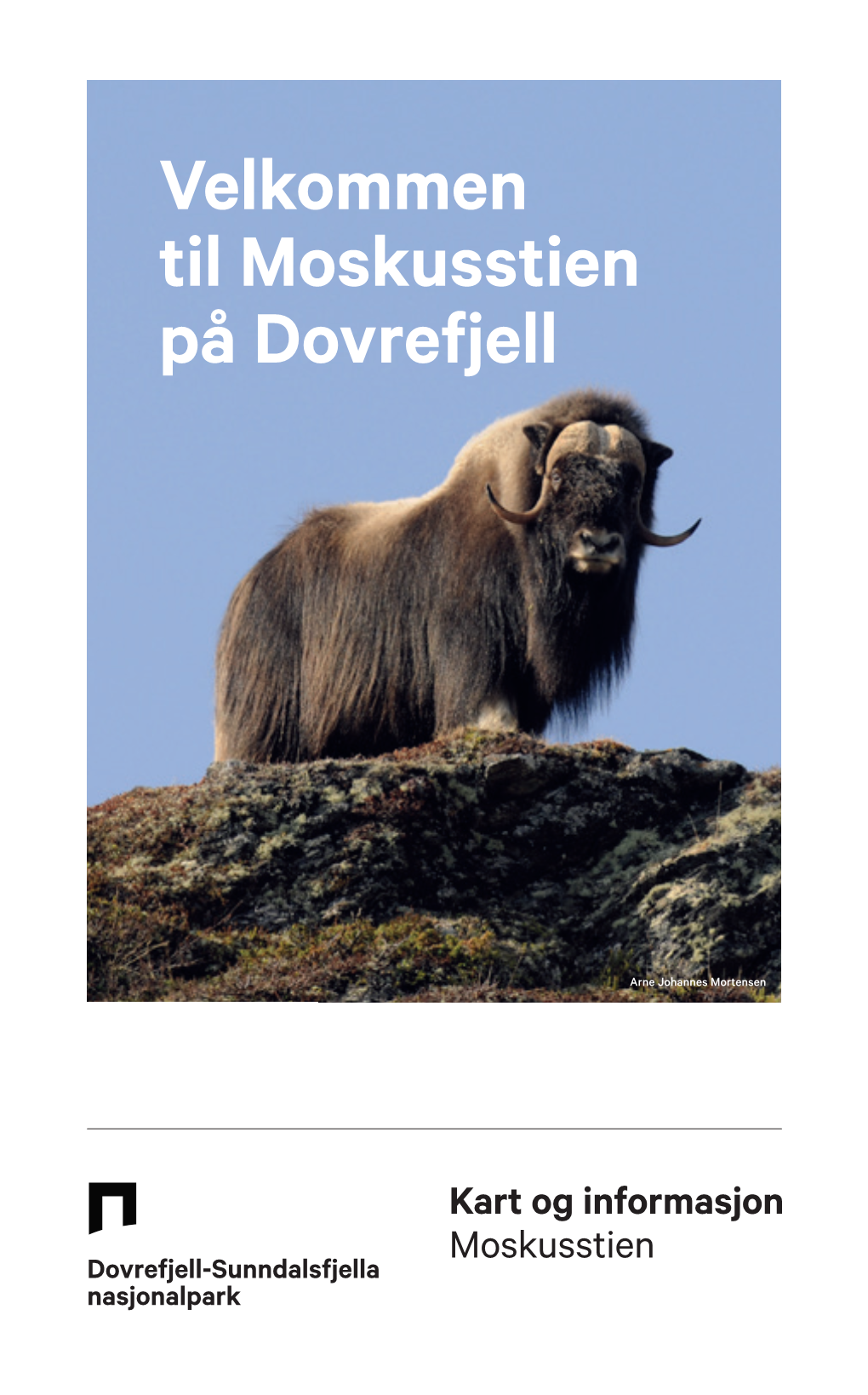 Velkommen Til Moskusstien På Dovrefjell