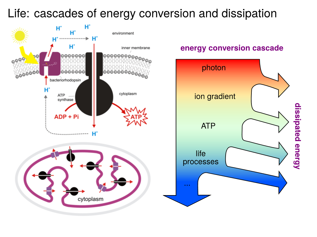 Slides: Thermodynamics and the Origins of Life