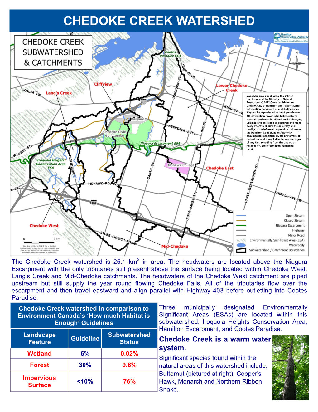 Chedoke Creek Watershed