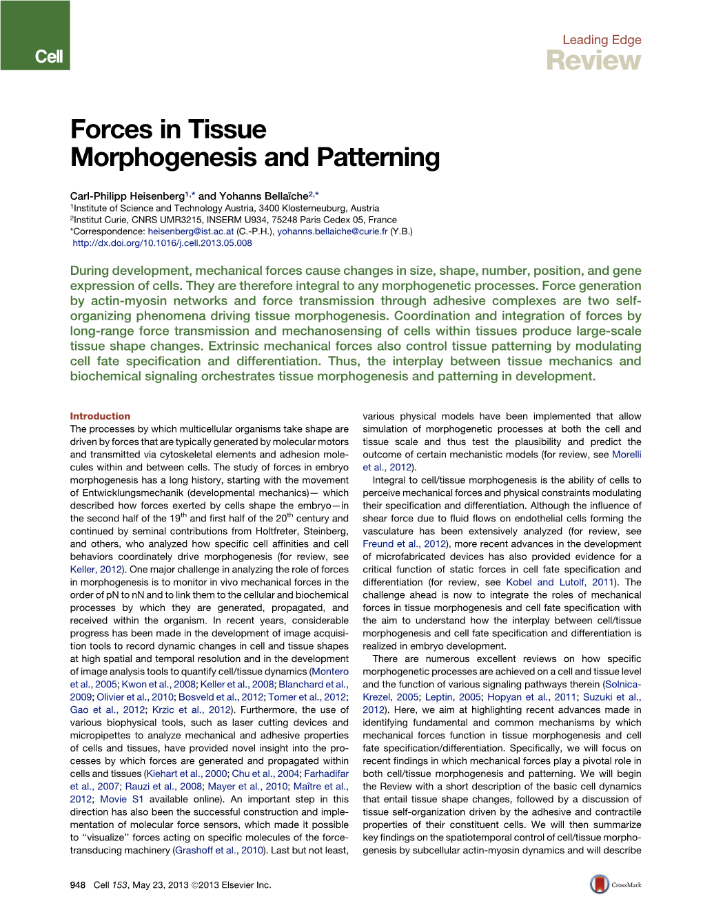 Forces in Tissue Morphogenesis and Patterning