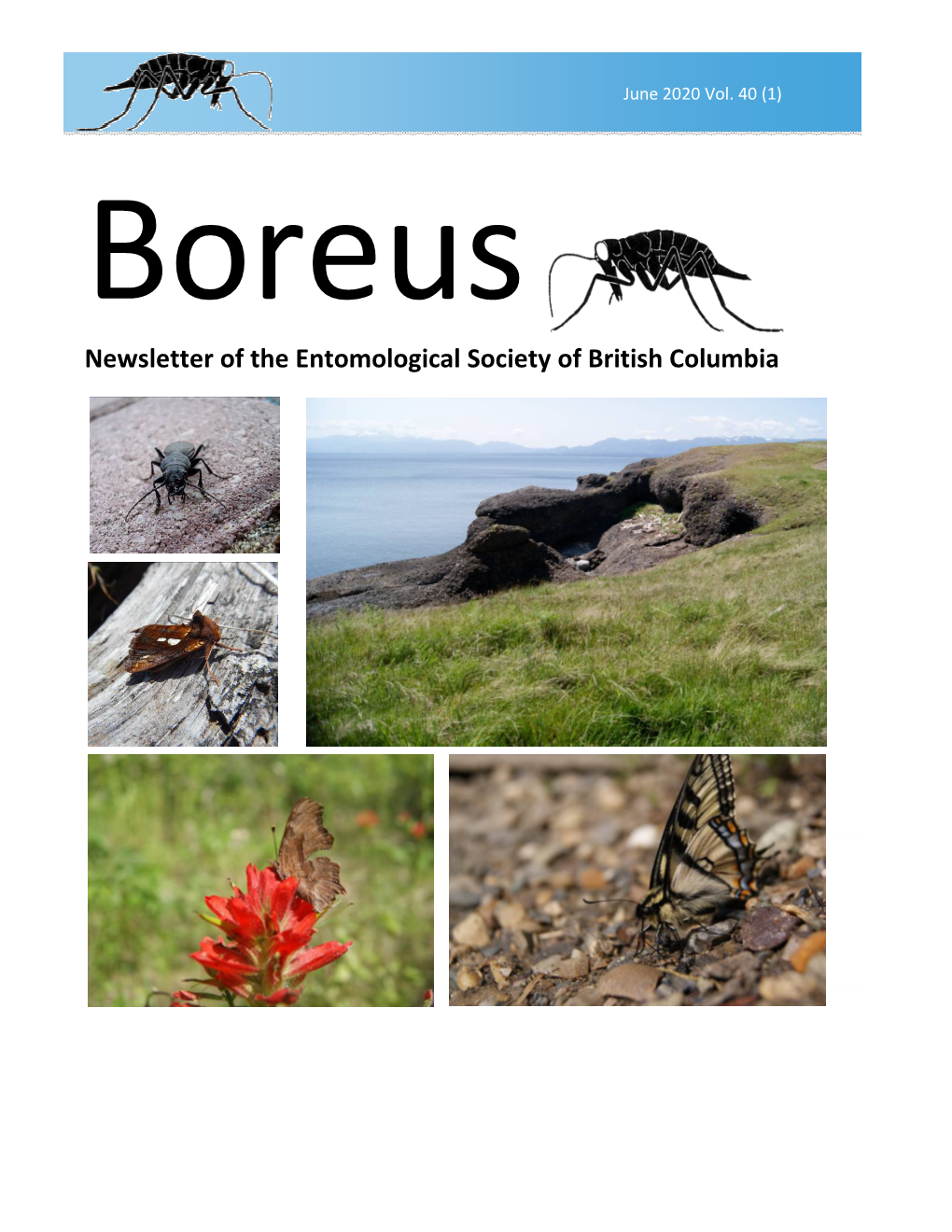 Newsletter of the Entomological Society of British Columbia