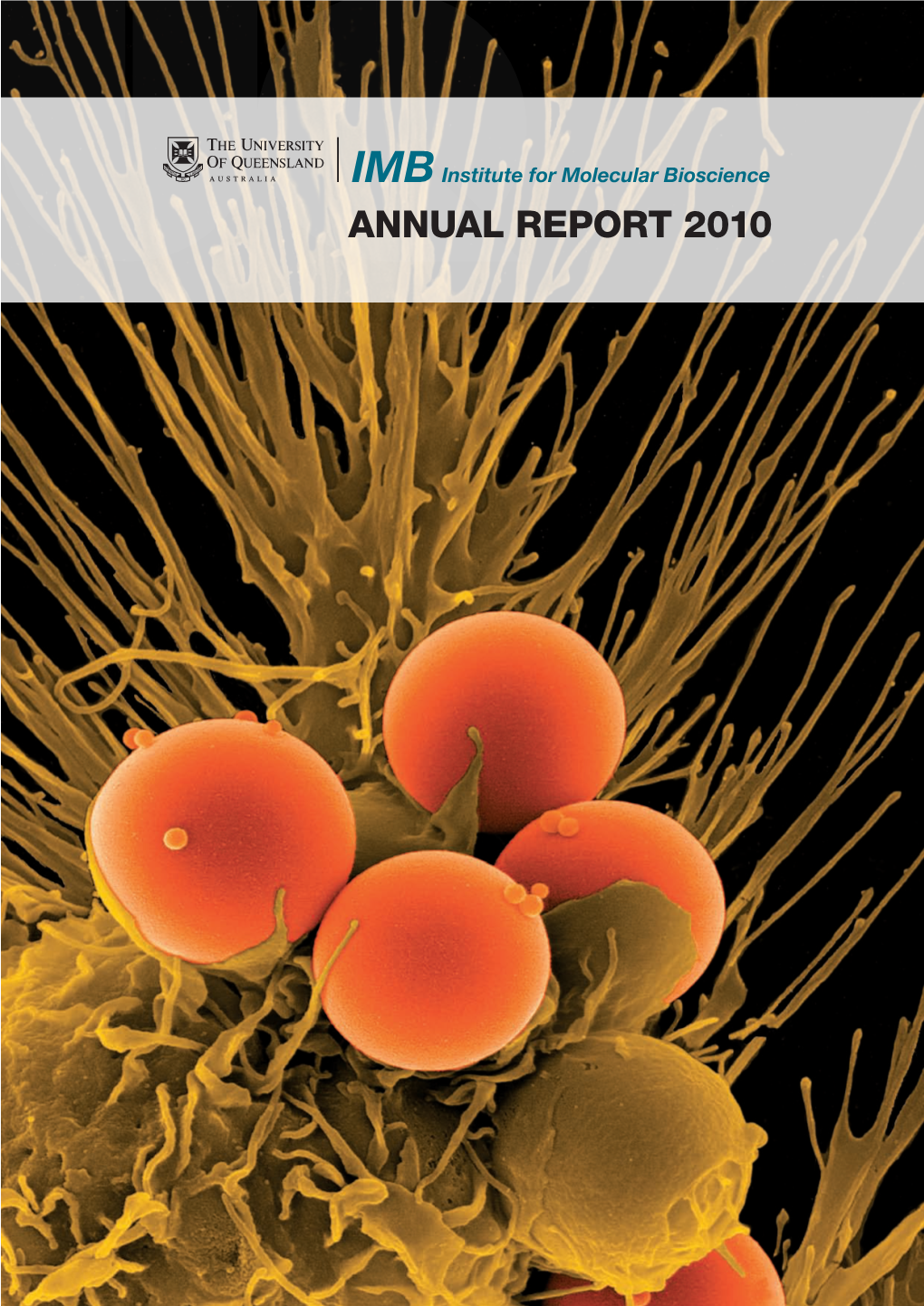 Annual Report 2010 Cover Image: Winner of the 2010 Imb Ångström Art Competition