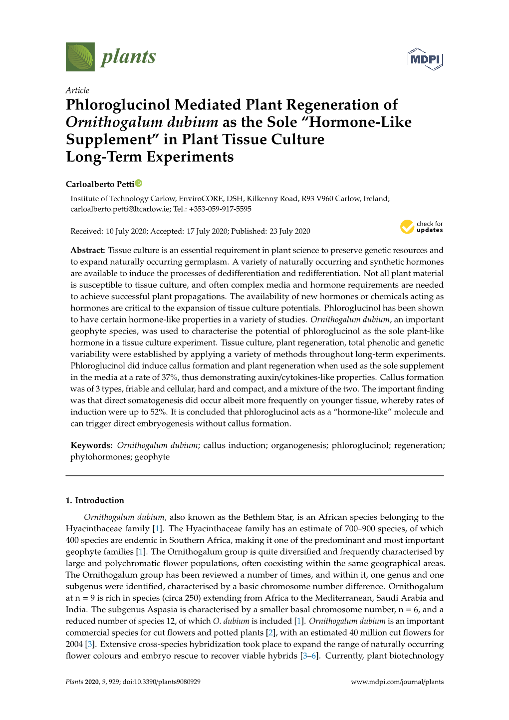 Phloroglucinol Mediated Plant Regeneration of Ornithogalum Dubium As the Sole “Hormone-Like Supplement” in Plant Tissue Culture Long-Term Experiments